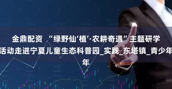 金鼎配资  “绿野仙‘植’·农耕奇遇”主题研学活动走进宁夏儿童生态科普园_实践_东塔镇_青少年