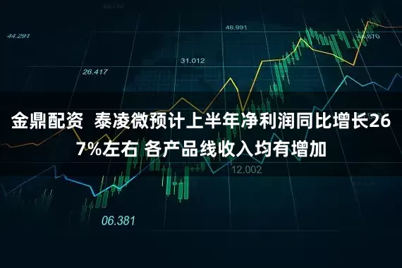 金鼎配资  泰凌微预计上半年净利润同比增长267%左右 各产品线收入均有增加
