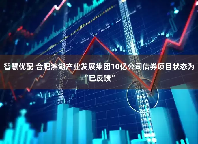 智慧优配 合肥滨湖产业发展集团10亿公司债券项目状态为“已反馈”