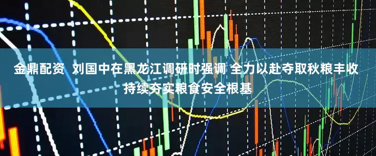 金鼎配资  刘国中在黑龙江调研时强调 全力以赴夺取秋粮丰收 持续夯实粮食安全根基